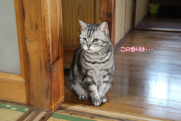 201305081.jpg