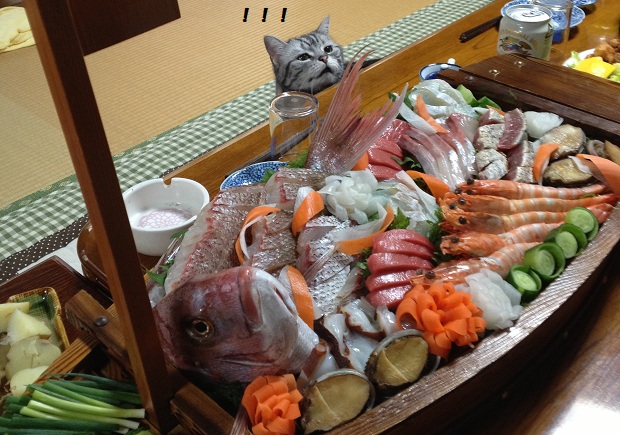 201305082.jpg