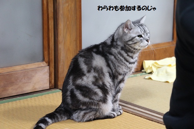 201305083.jpg