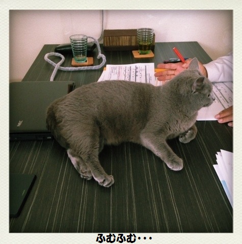 201305142.jpg