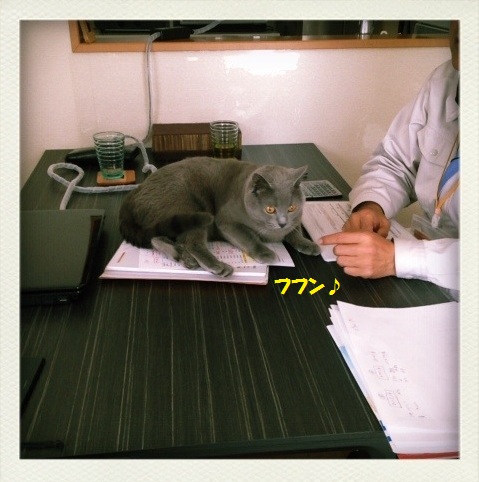 201305143.jpg