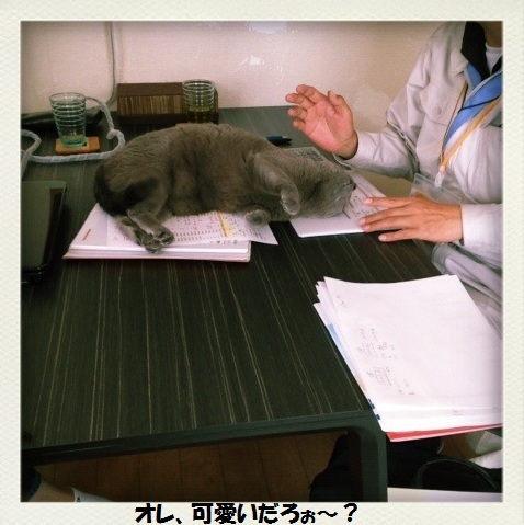 201305144.jpg