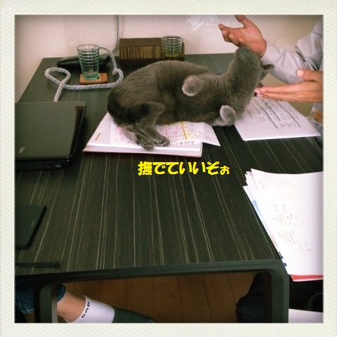 201305145.jpg