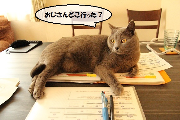 201305148.jpg