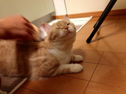201305151.jpg