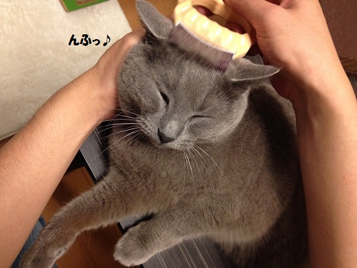 201305153.jpg