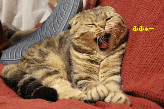 anigif20130429.gif