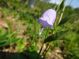 DSC12101603319.jpg