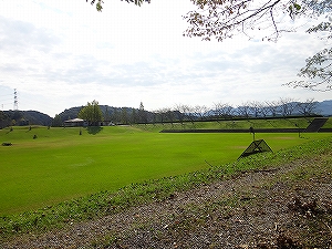 DSC1210803236.jpg