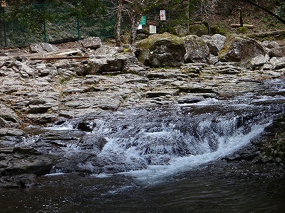 DSC1310404046.jpg