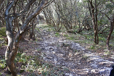 _DSC1212205246.jpg