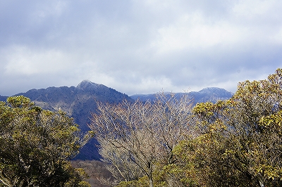 _DSC1212205248.jpg