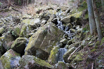_DSC131045521.jpg