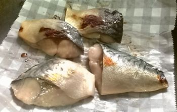 IMAG0329.jpg