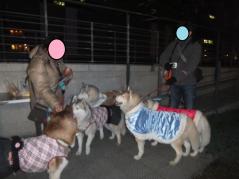 003_20121229204349.jpg
