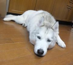 006_20120804005256.jpg