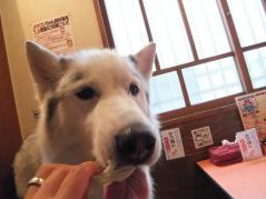009_20120801225413.jpg