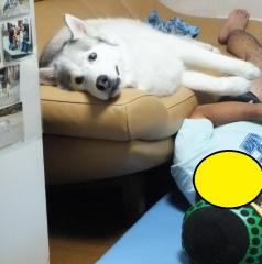 009_20120802220029.jpg