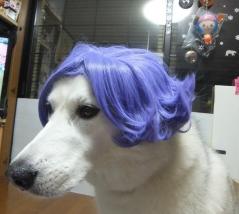 009_20120909212150.jpg