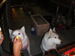 020_20120930004217.jpg