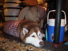 028_20121120224451.jpg