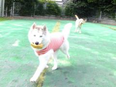 030_20120906223315.jpg