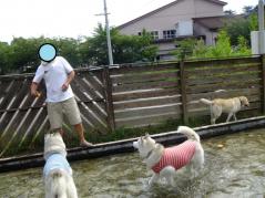 033_20120906223355.jpg