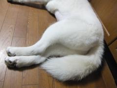 037_20120819221641.jpg