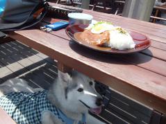 038_20120501215804.jpg
