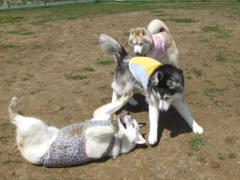 044_20120513214630.jpg