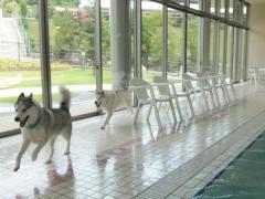060_20120809220009.jpg