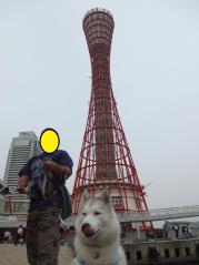 069_20120608235935.jpg