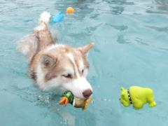 074_20120703224715.jpg