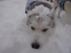 084_20130111235148.jpg