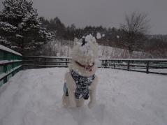 097_20130111235357.jpg