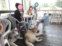 100_20120721213647.jpg