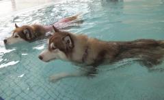 100_20120809222138.jpg