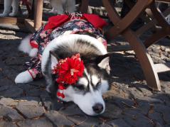 101_20130110215944.jpg