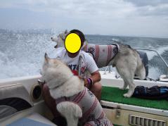 103_20120615235413.jpg