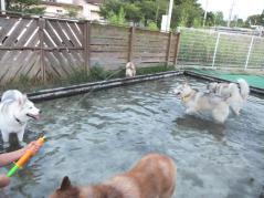 105_20120820220416.jpg