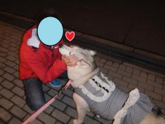 105_20121127224236.jpg