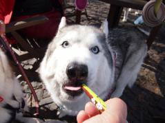 105_20130110215943.jpg