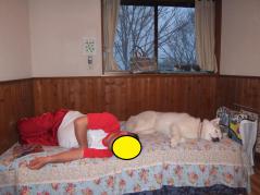 106_20120513221603.jpg