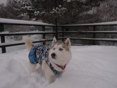 106_20130111235356.jpg
