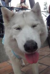 107_20120609000106.jpg