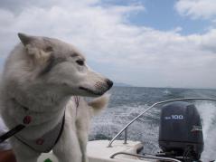 107_20120616001113.jpg