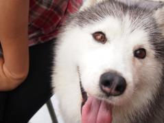 107_20120623230453.jpg
