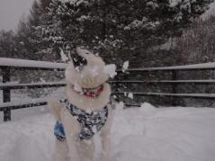 107_20130111235354.jpg