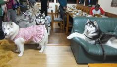 108_20120513222031.jpg