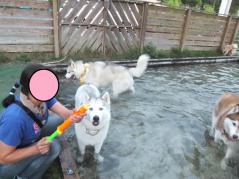 108_20120820220415.jpg